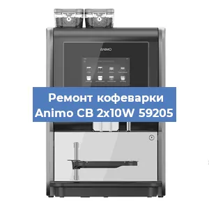 Чистка кофемашины Animo CB 2x10W 59205 от накипи в Красноярске